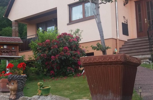 Le Hohwald Apartment | Apartment 2-3 people