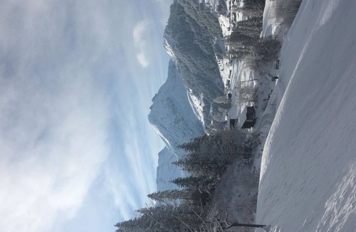 Adelboden Apartment | Apartment ∙ 2 bedrooms ∙ 4 guests