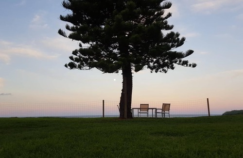 Narrabeen Apartment | Apartment 2 - The Coachhouse