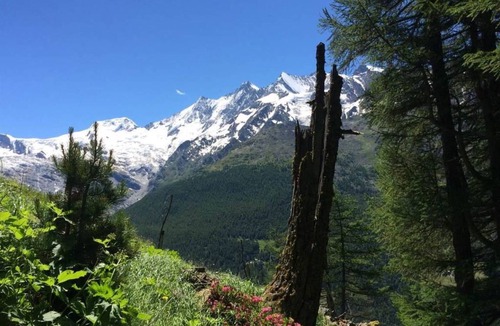 Saas Grund Apartment | Apartment ∙ 3 bedrooms ∙ 4 guests