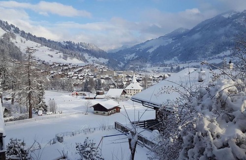 Zweisimmen Apartment | Apartment ∙ 3 bedrooms ∙ 7 guests