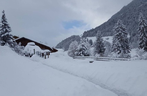 Zweisimmen Apartment | Apartment ∙ 3 bedrooms ∙ 7 guests
