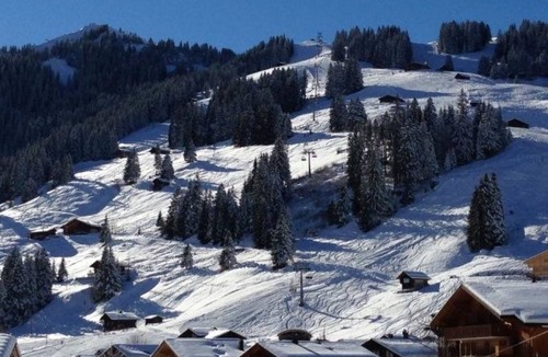 Adelboden Apartment | Apartment ∙ 3 bedrooms ∙ 4 guests