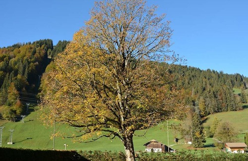 Zweisimmen Nr Gstaad Apartment | Apartment ∙ 3 bedrooms ∙ 6 guests
