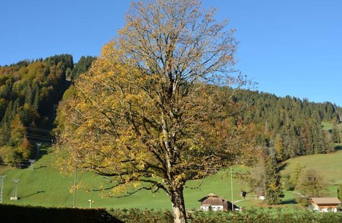 Zweisimmen Nr Gstaad Apartment | Apartment ∙ 3 bedrooms ∙ 6 guests