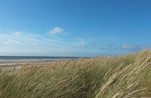Stella-Plage Apartment | Apartment 32m2 (4 pers) Stella-Plage near Le Touquet