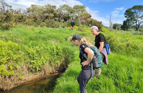 Awhitu Apartment | Apartment 4