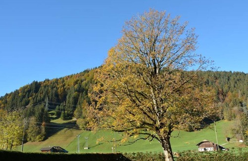 Zweisimmen Nr Gstaad Apartment | Apartment ∙ 5 bedrooms ∙ 8 guests