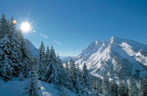 Thones Apartment | APARTMENT 5 SLEEPING TUNA 74230