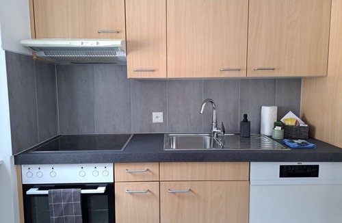 Airolo Apartment | Apartment a stone's throw from the ski slopes (Airolo Valley 1)