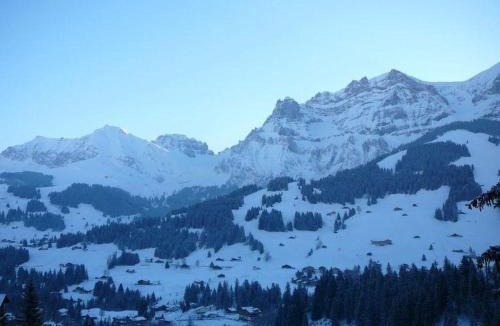 Adelboden Apartment | Apartment Adlerhorst by Interhome