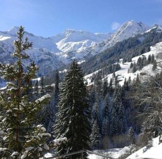 Adelboden Apartment | Apartment Adlerhorst by Interhome