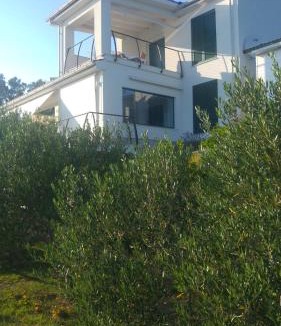 Palit Apartment | Apartment AMMIRARE Rab