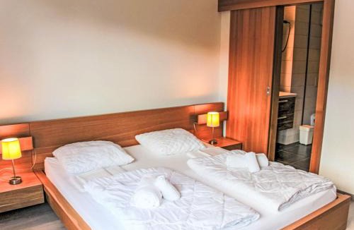 Moleson Apartment | Apartment Andromède 3-pièces A34 by Interhome