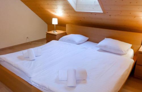 Moleson Apartment | Apartment Andromède 4 pièces 11 by Interhome