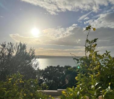 Starigrad Apartment | Apartment Ante