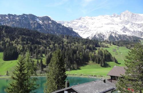 Engelberg Apartment | Apartment Aurora by Interhome