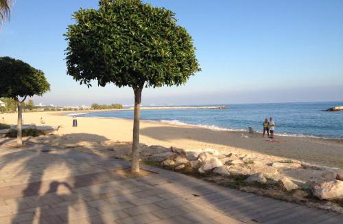 Cambrils Apartment | Apartment Austral 5