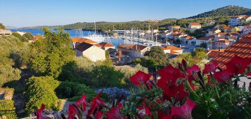Island Dugi Otok Apartment | Apartment Azaleja