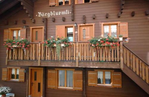 Bettmeralp Apartment | Apartment Bärgblüemli 1- OG West by Interhome
