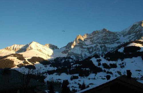 Adelboden Apartment | Apartment Bärgchutzli Parterre by Interhome