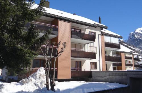 Engelberg Apartment | Apartment Blumenweg 6 by Interhome