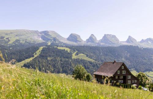 Wildhaus-Alt St. Johann Apartment | Apartment by Interhome