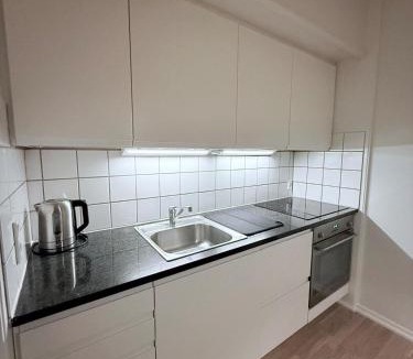 Copenhagen City Centre Apartment | Apartment by the Lakes in Copenhagen