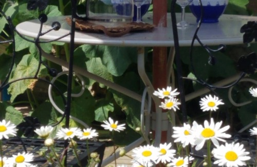 Villers-sur-Mer Apartment | Apartment Côte Fleurie