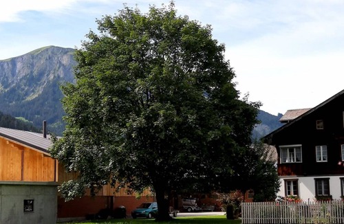 Lenk Apartment | Apartment ∙ 3 bedrooms ∙ 8 guests