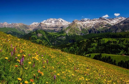 Lenk Apartment | Apartment ∙ 1 bedroom ∙ 4 guests