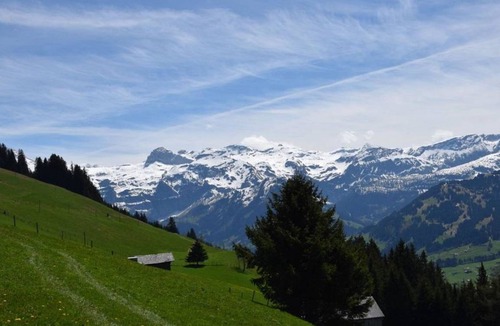 Lenk Apartment | Apartment ∙ 2 bedrooms ∙ 5 guests
