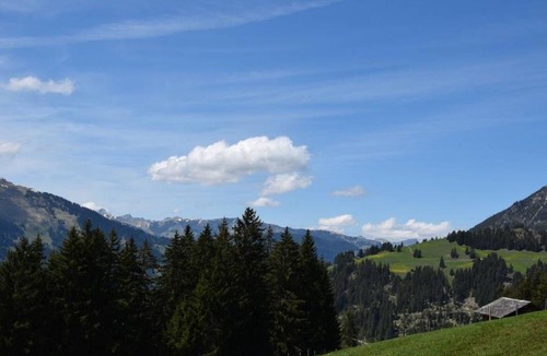 Lenk Apartment | Apartment ∙ 2 bedrooms ∙ 5 guests
