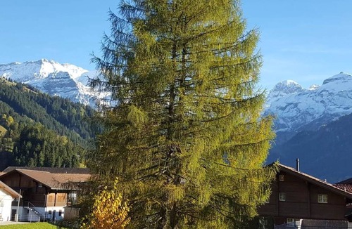Lenk Apartment | Apartment ∙ 1 bedroom ∙ 4 guests