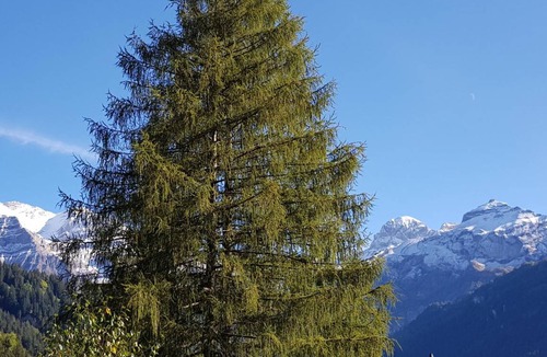 Lenk Apartment | Apartment ∙ 1 bedroom ∙ 4 guests