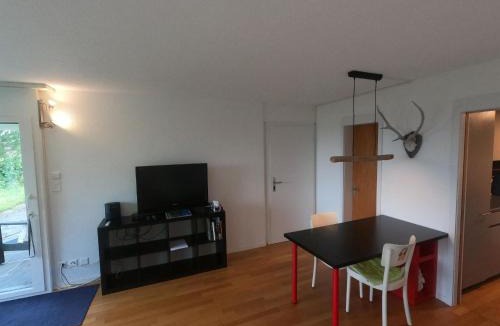 Aeschi bei Spiez Apartment | Apartment Chilis Ferienresidenz by Interhome