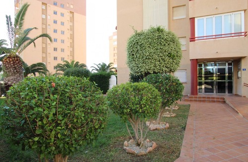 Dehesa de Campoamor Apartment | Apartment Dehesa de Campoamor, 1 bedroom, 4 persons