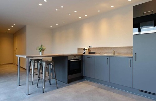 Ribeauville Apartment | Apartment-Deluxe-Ensuite with Shower-Terrace