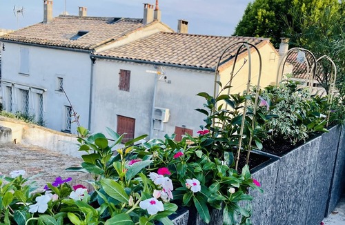 Aigues-Mortes Medieval City Apartment | Apartment-Deluxe-Ensuite with Bath-Terrace-Appartement
