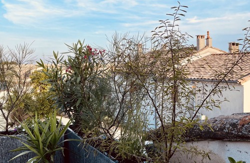 Aigues-Mortes Medieval City Apartment | Apartment-Deluxe-Ensuite with Bath-Terrace