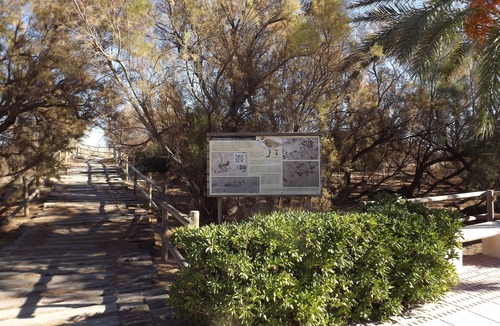 Platja de Piles Apartment | Apartment Duna 1 for 4 people directly on the sandy beach