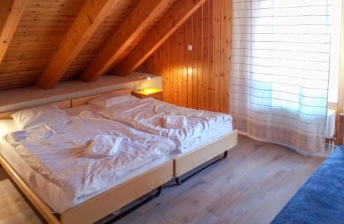 Ovronnaz Apartment | Apartment Eaux-Vives 202 by Interhome