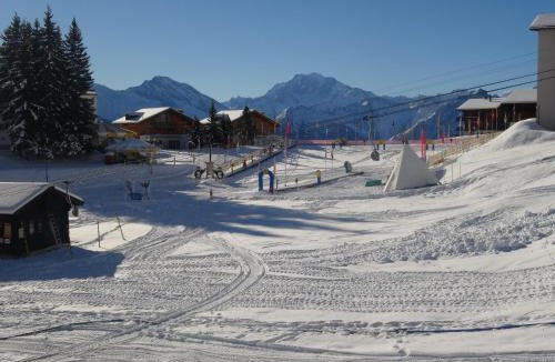 Riederalp Apartment | Apartment Edelweiss