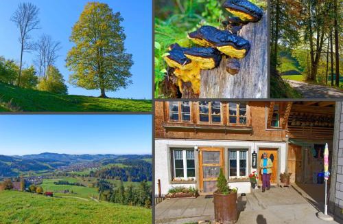 Barau Apartment | Apartment Emmental Ferien by Interhome
