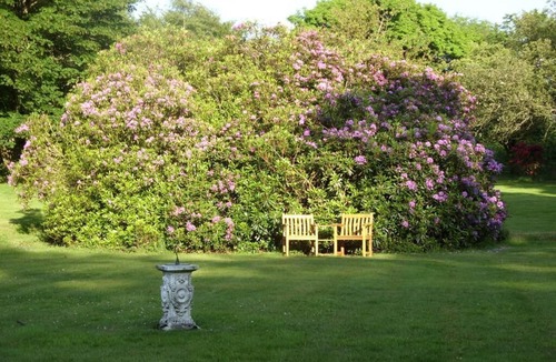 Parracombe Apartment | Apartment-Ensuite-Bodley