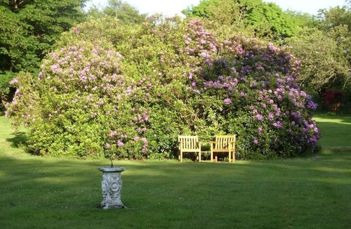 Parracombe Apartment | Apartment-Ensuite-Dean