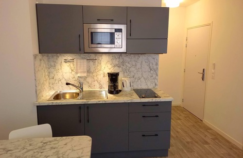 Serris Apartment | Apartment-Ensuite with Bath-Studio