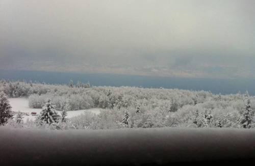 Thollon-les-Memises Apartment | Apartment/flat - Thollon les memises