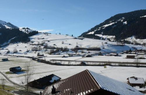 Zweisimmen Apartment | Apartment Fabiana by Interhome