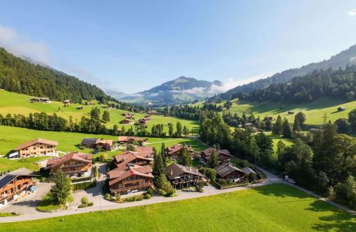 Zweisimmen Nr Gstaad Apartment | Apartment Farfalla by Interhome